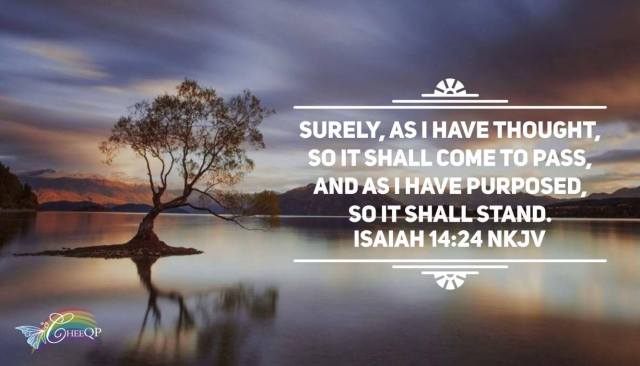 13898490_10154524941019131_388721127_o