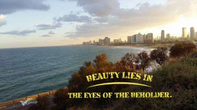 14858546_10154807599794131_2061045456_o