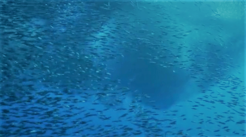 Screenshot 2017-08-15 15.20.13